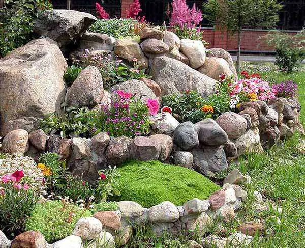 jardin de rocas 1