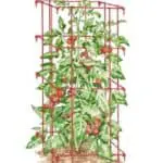 jaula para tomatras