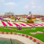 Dubai Miracle Garden 32