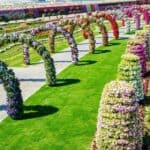 Dubai Miracle Garden 28