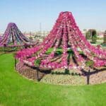 Dubai Miracle Garden 22
