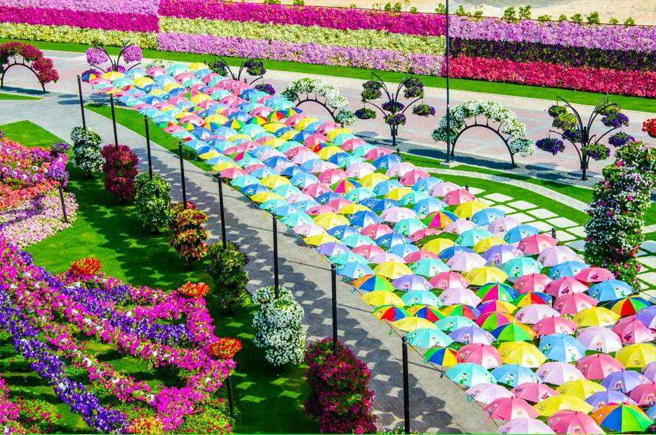  Dubai  Miracle Garden El Jard n De Flores M s Grande Del Mundo