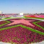 Dubai Miracle Garden 18