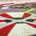 Dubai Miracle Garden 13