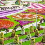 Dubai Miracle Garden 2
