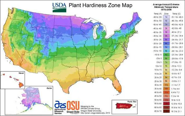Zonas USDA USA