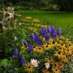 Plantas para suelos alcalinos 9 Otras plantas que soportan el frío intenso
