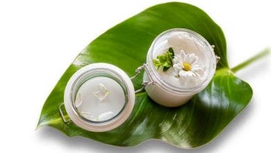 Plantas cosméticas: hacen tu vida más ecológica y tu piel más saludable