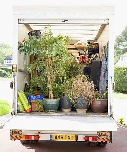 camión cubierto para mudar las plantas