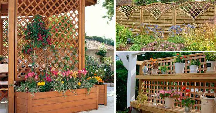 Celosías de Madera: Privacidad, Decoración e ideas 1 Celosías de Madera ideas