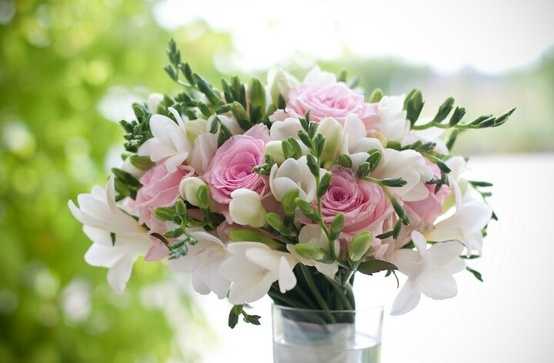 Que flores regalar según la Ocasión 1 que flores regalar según la ocasión