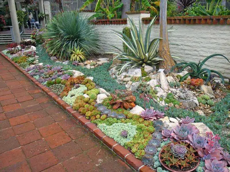 Jardín de suculentas en exteriores - Diseño e Ideas