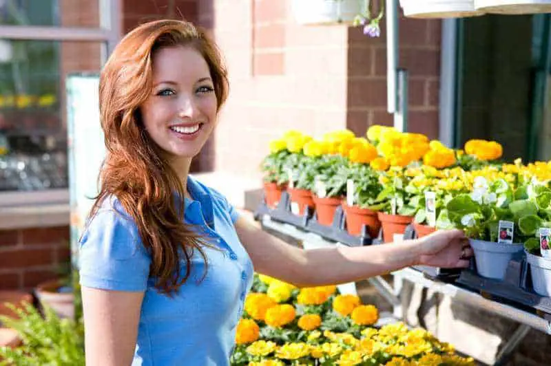 comprar plantas saludables