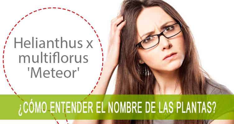 ¿Cómo entender el nombre de las plantas? 1 nombre de las plantas