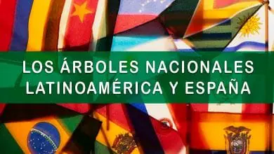 Árbol Nacional de cada país de Latinoamérica y España