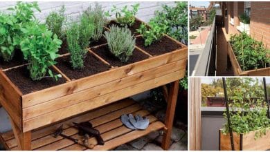 Como elegir una mesa de cultivo para balcón o terraza