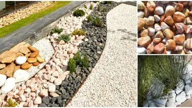 El uso de piedras decorativas para jardin