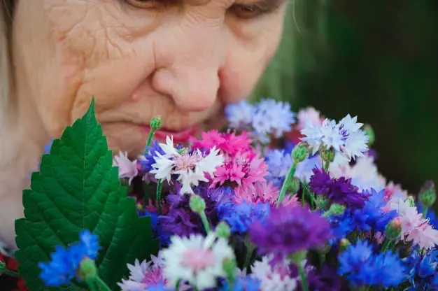 grandmother-bouquet-flowers