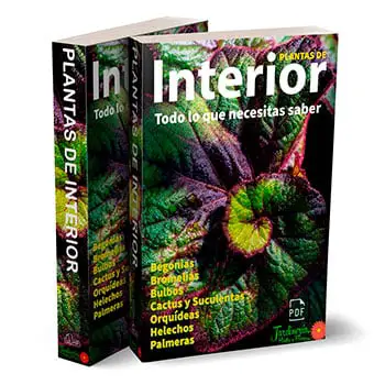 book-cover-indoor-plants-300