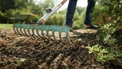 Como elegir las mejores herramientas para trabajar la tierra del jardín o el huerto