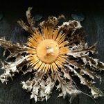 Eguzkilore, La flor del Sol de la mitología vasca que protege los hogares