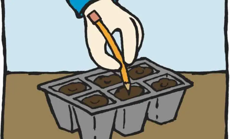 Ilustración que muestra una mano haciendo un agujero con un lápiz en el suelo de una bandeja multicelular.