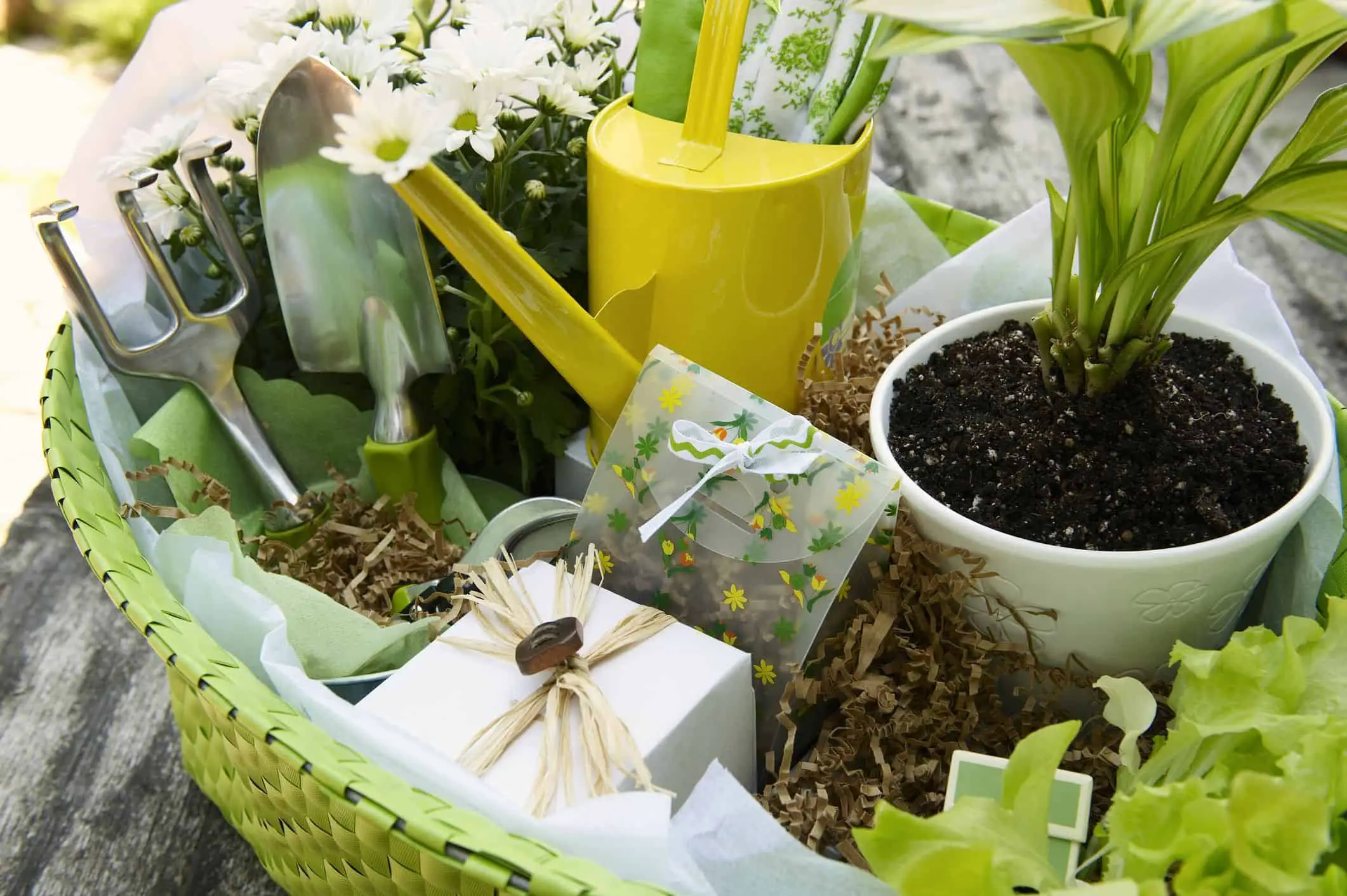 ideas de regalos para jardineros