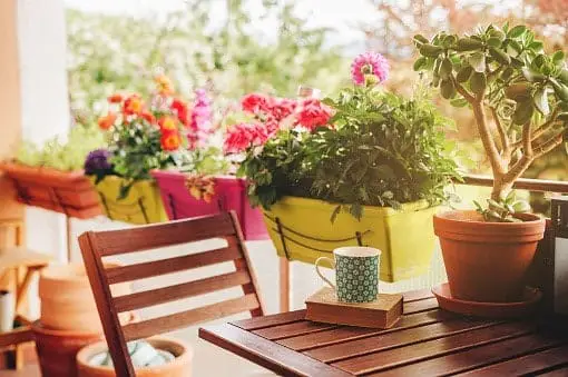 Cómo decorar un balcón con plantas y flores