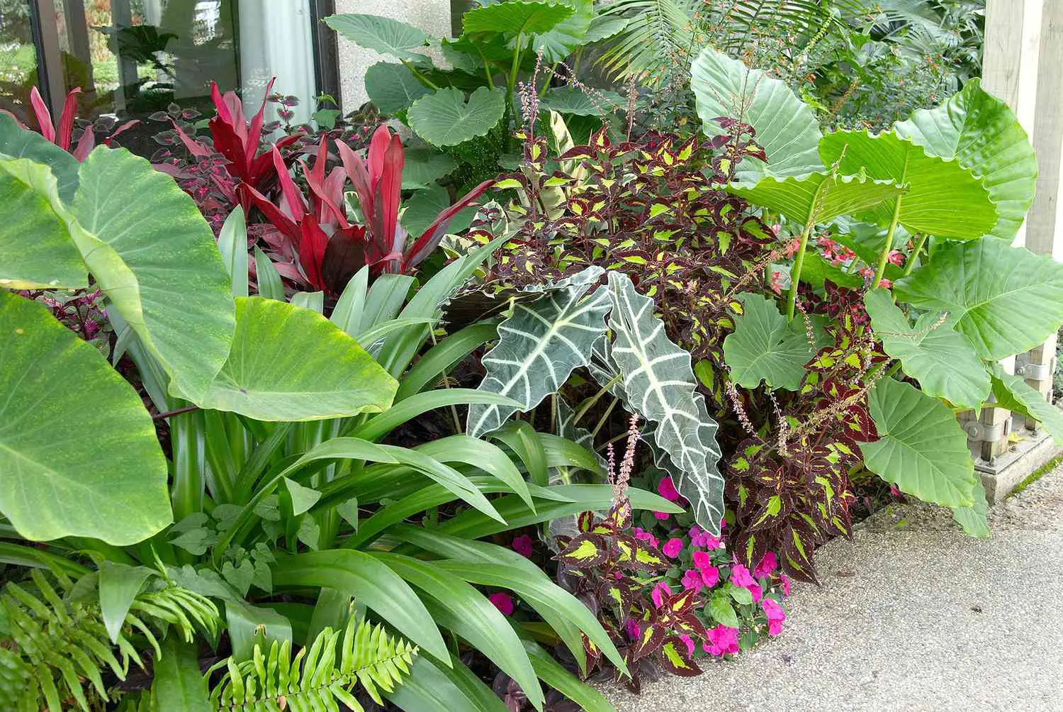 cuidados de plantas y flores  - blog de jardineria